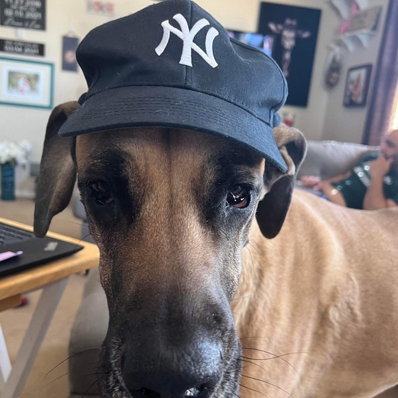 Meet your Posher, Dawn - Picture 5 of 12